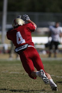 爱游戏智能体验-英超球队基于运动表现数据的个体化恢复方案，英超技术统计  第3张