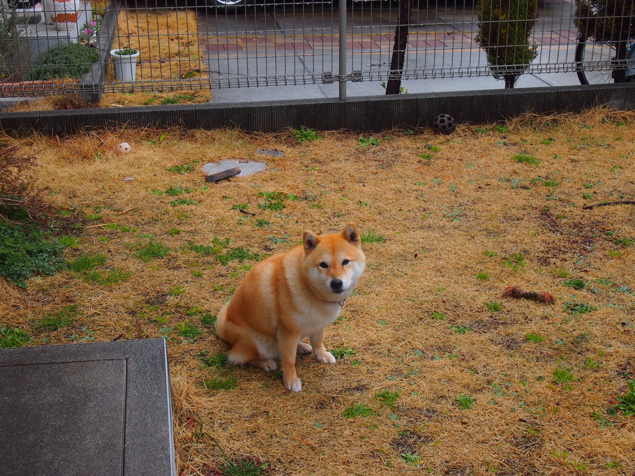 爱游戏体育在线-运动员康复项目实施方案，运动员康复训练  第3张