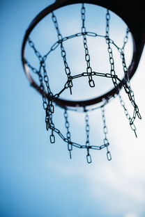 AYX体育-中国篮球教练员团队合作能力培养及影响因素分析，篮球教练组成员