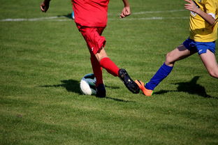 爱游戏电竞官网-篮球训练计划科学制定与执行效果评估，篮球训练计划制定与范例