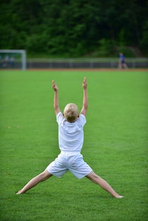 爱游戏体育入口-高校体育专业课程体系动态调整研究，全国普通高校体育教育专业课程方案  第1张