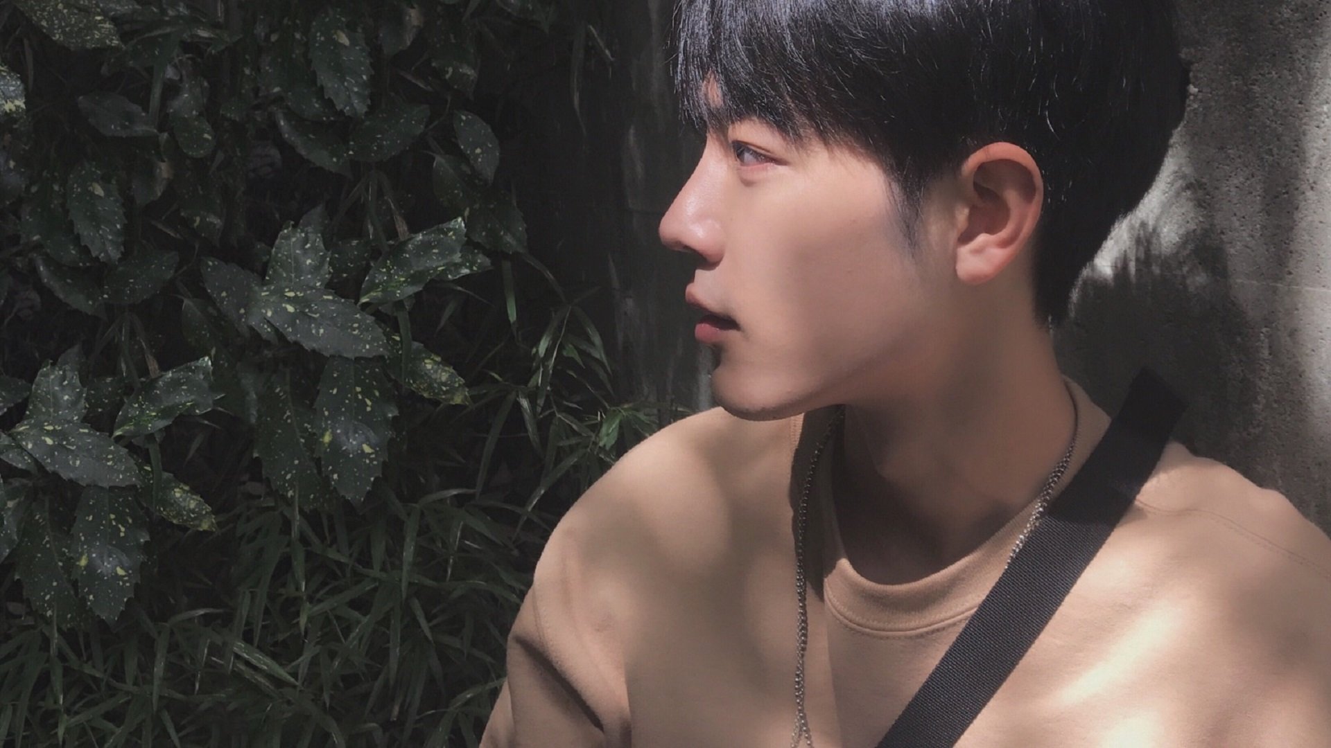 爱游戏网址登录-中超联赛中国足球夺冠 球员士气高涨,中超冠军2021 第1张 爱游戏网址登录-中超联赛中国足球夺冠 球员士气高涨,中超冠军2021 第1张