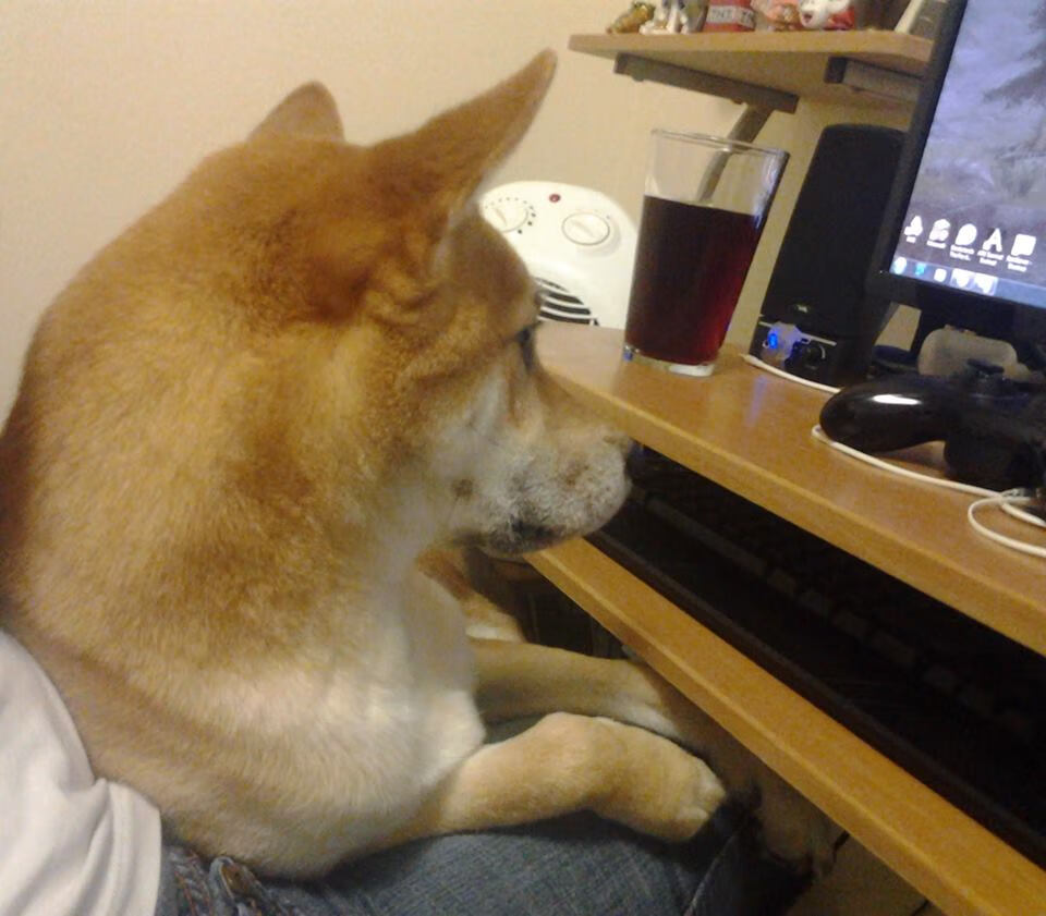 爱游戏体育-体育医疗科技加速伤后恢复进程，医疗体育项目有哪些