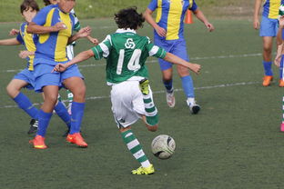 爱游戏在线登录入口-女篮亚洲杯中国队力压日本夺冠，亚洲杯女子篮球赛中国对日本