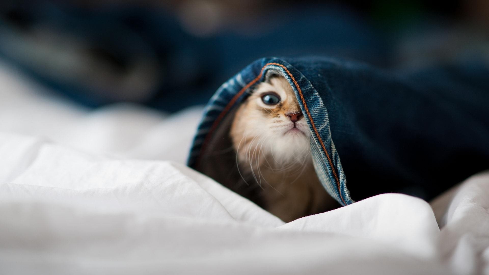 爱游戏内容中心-青训教练培训升级全面提升基层教学水平,青训教练是什么意思